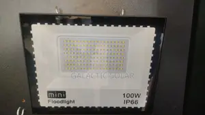 100w Floodlight