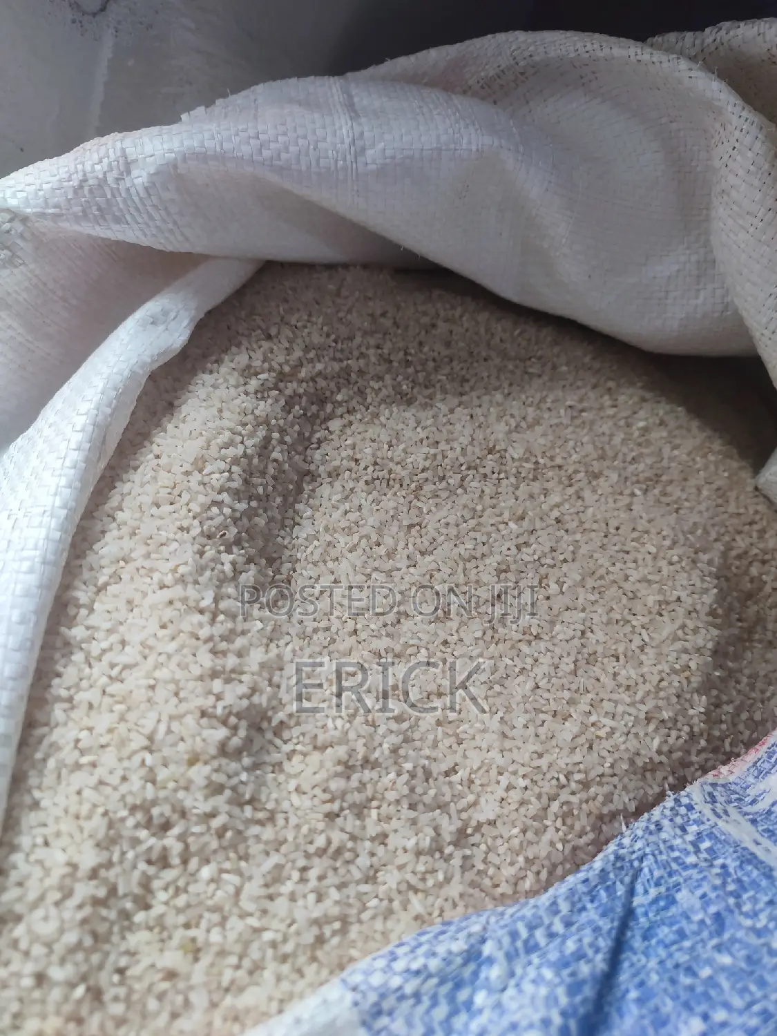 Broken Dog Rice