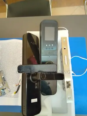 Tech_ Savvy Stays Biometric Locks for Hotels