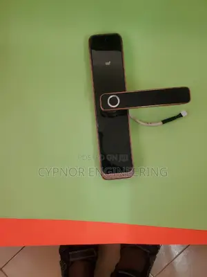 Tech_savvy Security Biometric Locks for Hotel Rooms