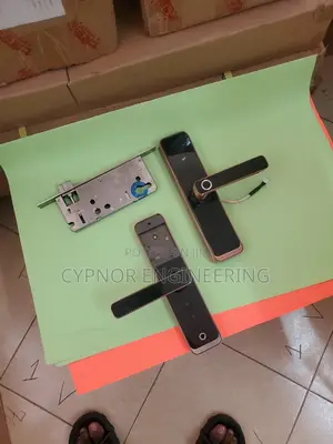 Digital Peace Biometric Locks Ensure Hotel Room Security