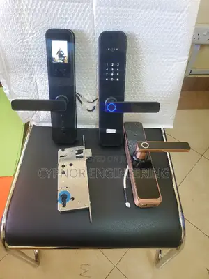 Seamless Security Smart Biometric Locks for Hotel Rooms