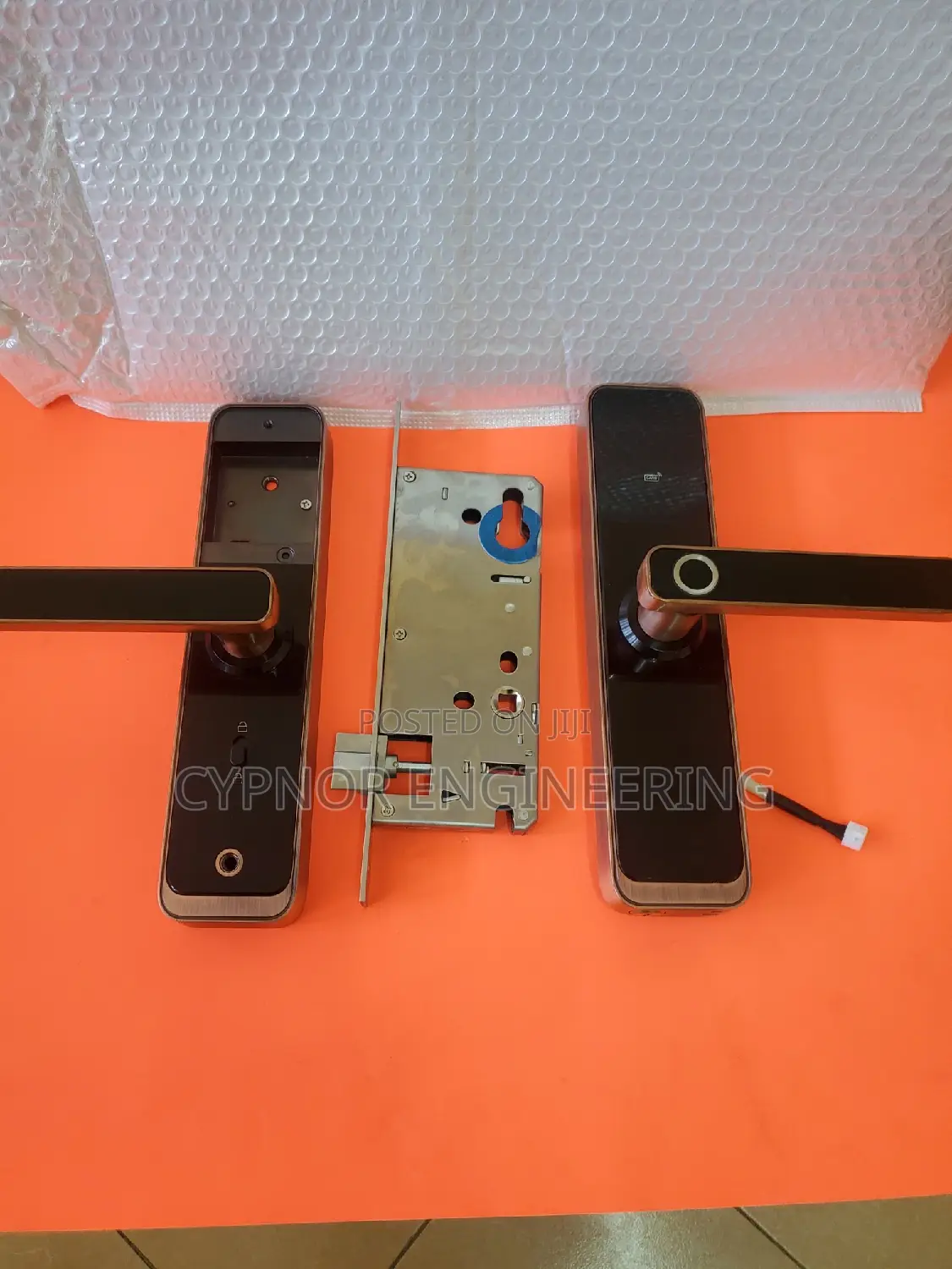 Digital Stay Biometric Locks for Hotel Assurance
