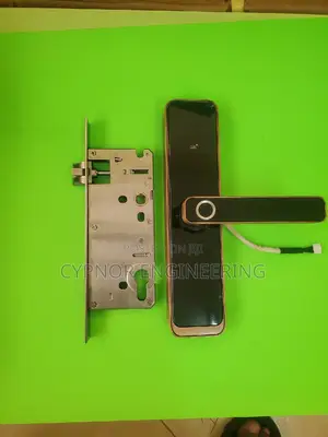 Innovative Stays Airbnbs Biometric Door Locks for Guest