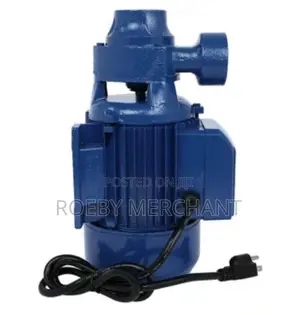 Commercial Pedrollo Water Pump
