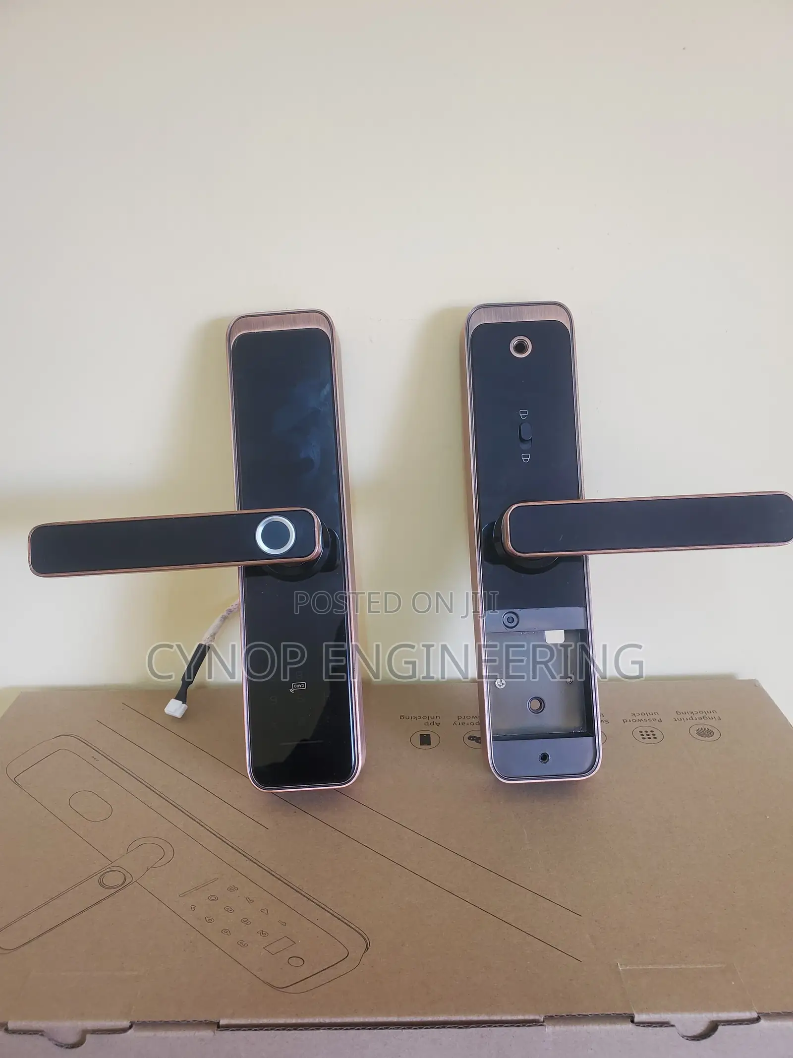 Smart Biometric Door Locks Redefined Entry System