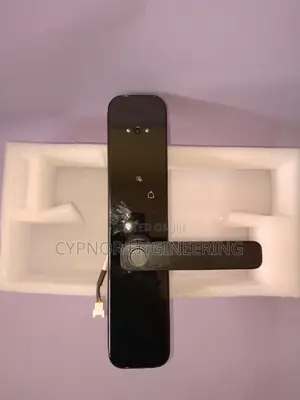 Digital Peace Privacy Security Biometric Locks for Hotels