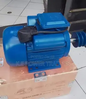 TLAC 3hp Electric Motor