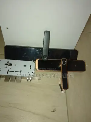 Biometric Sanctuary Airbnbs Security Access Smart Locks