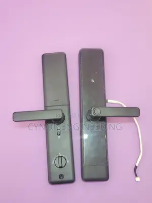 Secure Entry With Biometric Wifi Door Lock With Passcodes