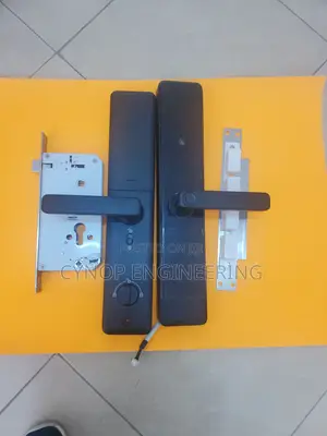 Biometric Mastery Wifi Door Lock With Passcode Intergration