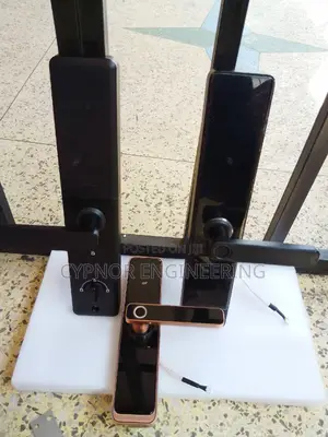 Digital Comfort Smart Intelligent Wifi Tuya Steel Door Lock