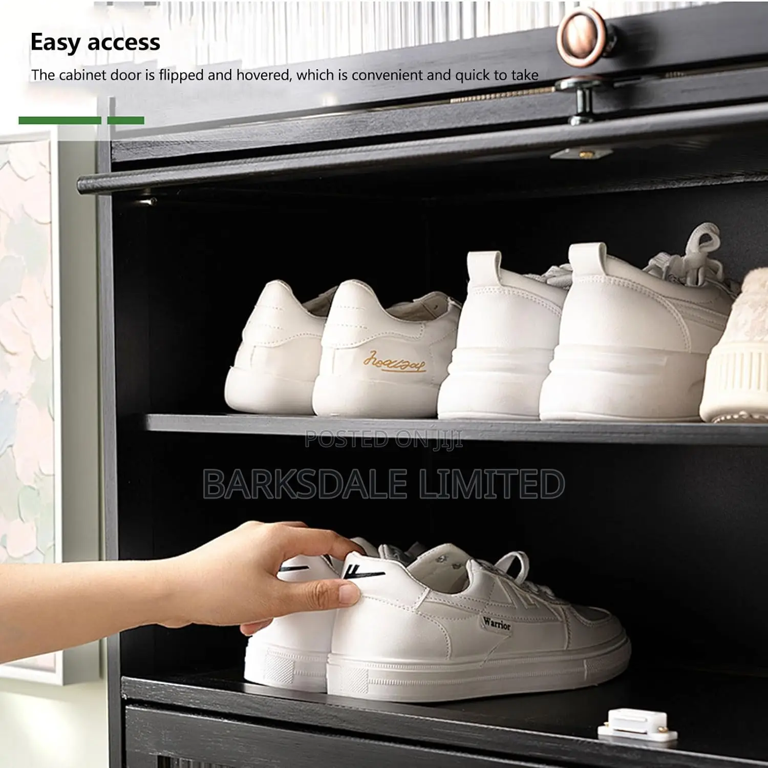 Black Shoe Cabinet Compact Portable Storage Stand Organizer