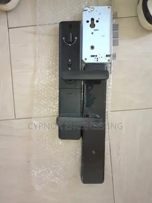 Biometric Bliss Keyless Digital Wifi App Controlled Doorlock