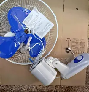 Unique Wall Fan