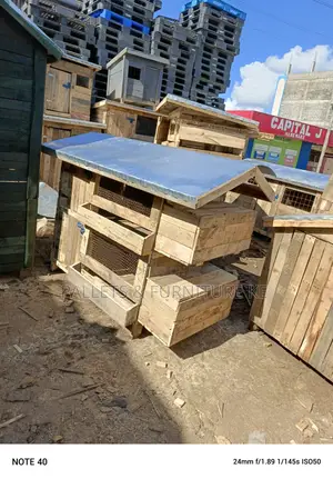 2 Later Chicken House With Laying Part