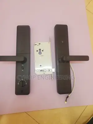 Wooden Door Access Evolution With Biometric Locks