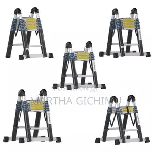 Double Telescopic Ladder Available