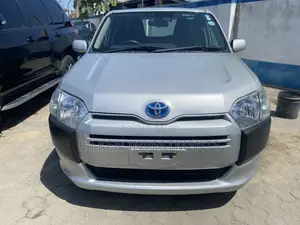 Toyota Probox 2019 Silver