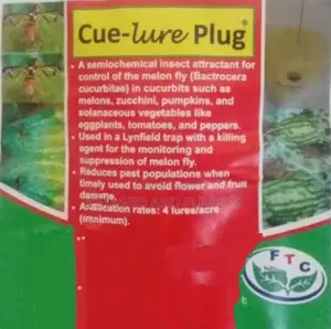 Curelure Plug With Lynfield Trap