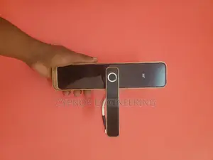 Seamless Entry Airbnbs Cutting_edge Biometric Innovations