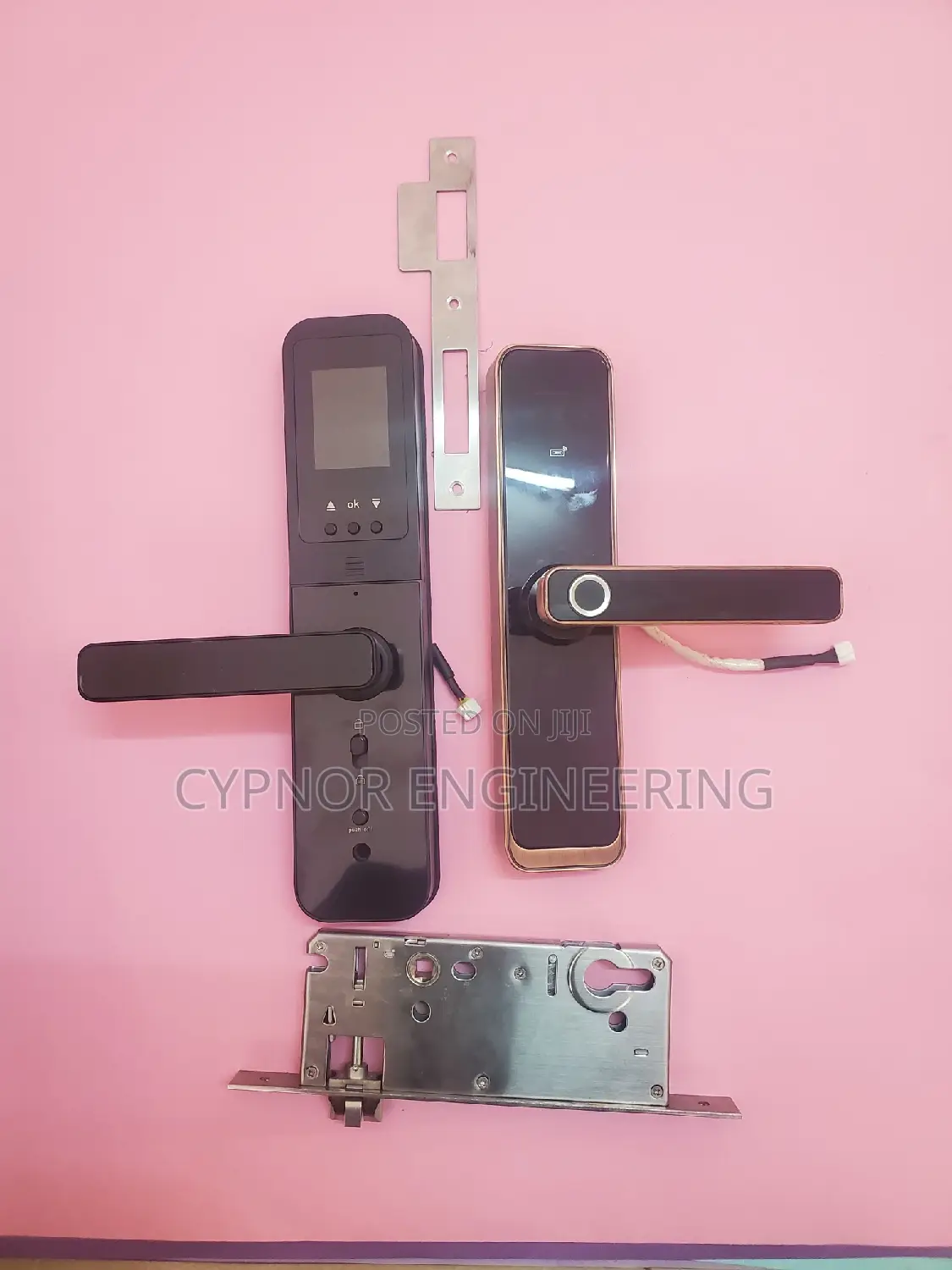 Redifine Airbnbs Security Access With Biometric Smartlocks