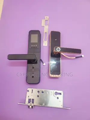 Safe and Sound Biometric Smart Locks for a Secure Home