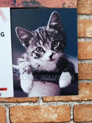 A3-Sized Photo Printing (Mounting Excluded)