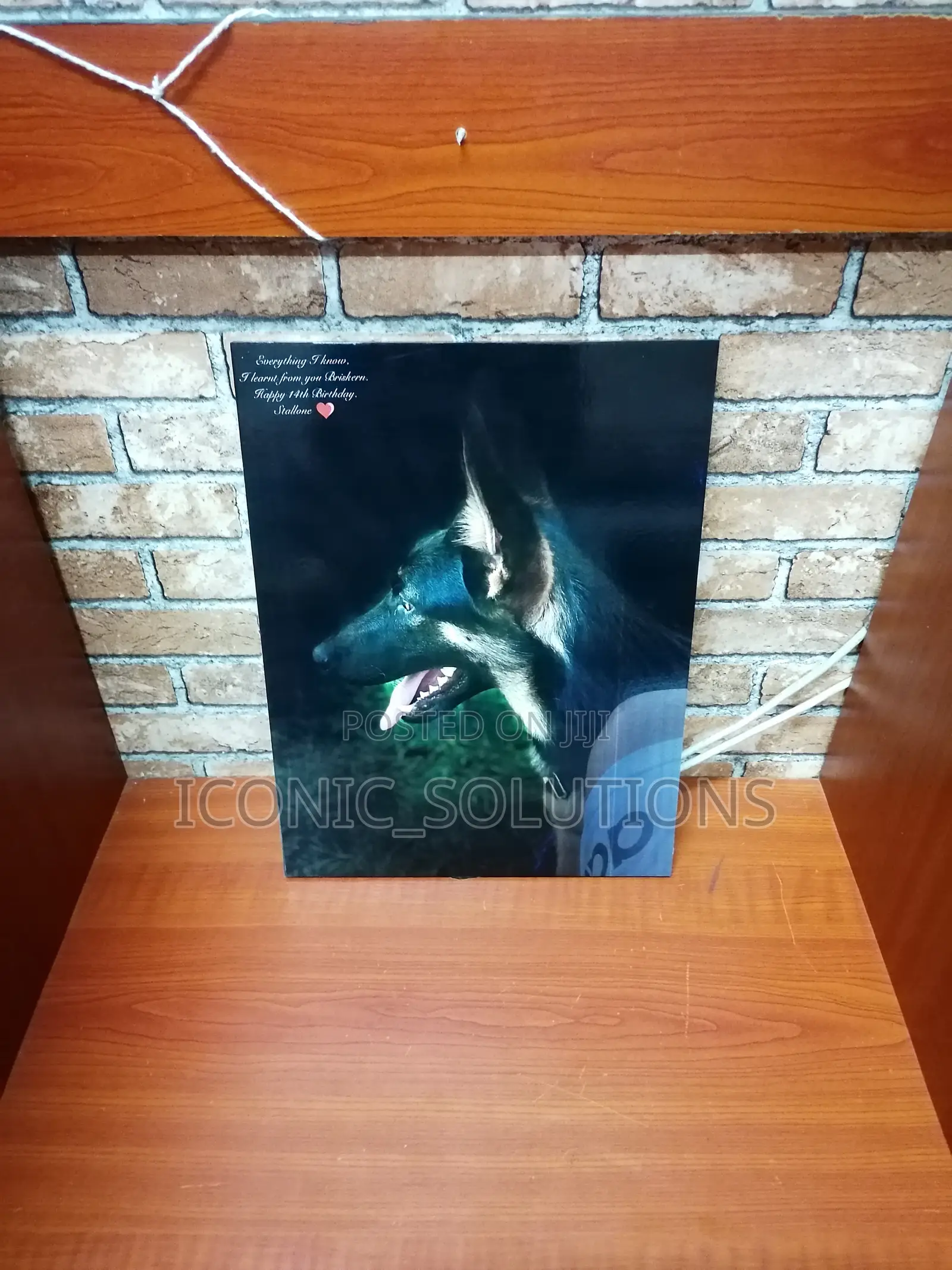 A3-Sized Photo Printing (Mounting Excluded)
