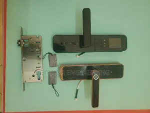 Biometric Entry:Making Airbnbs Stays Effortless and Secure