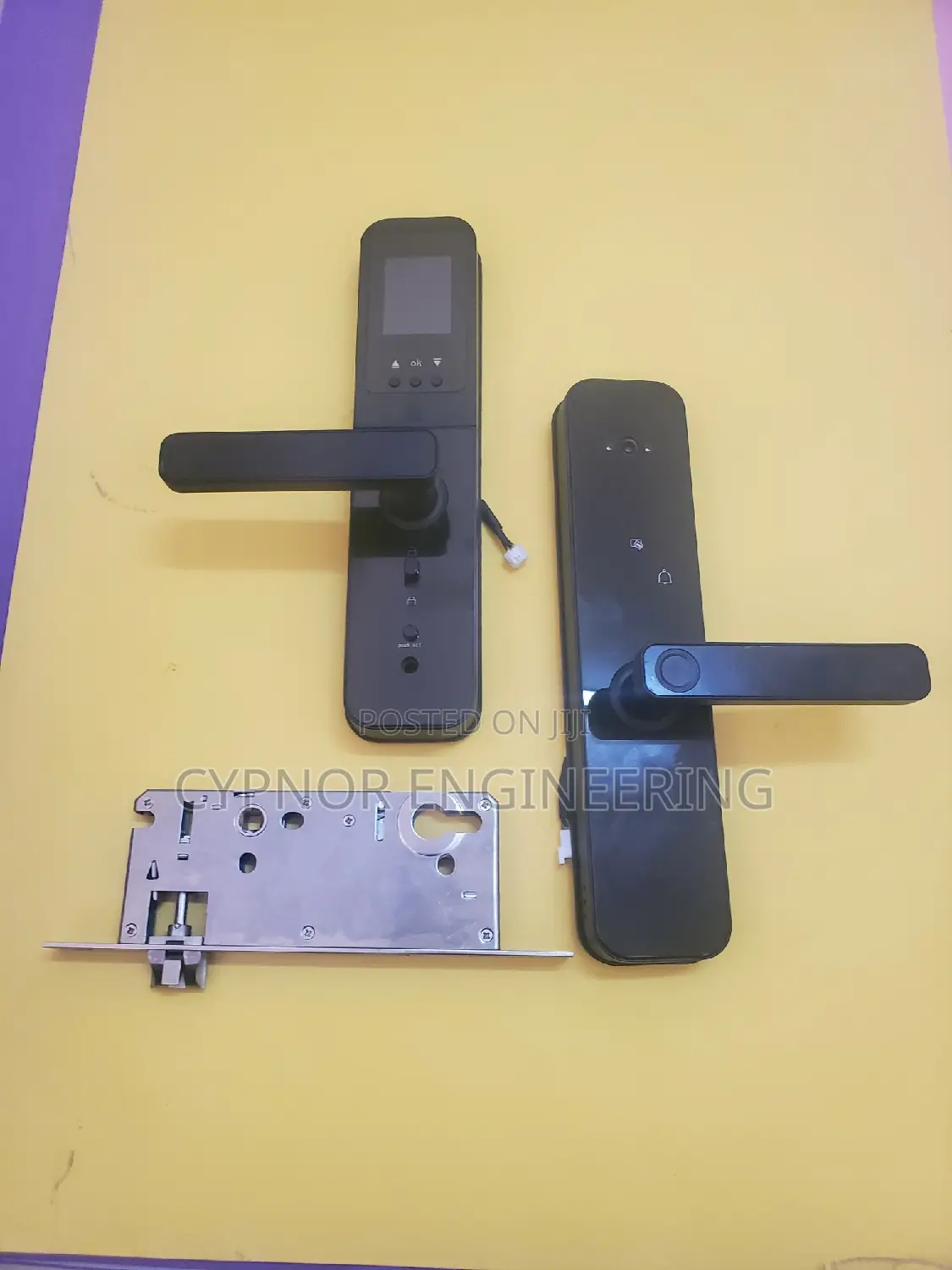 Personalized Protection Biometric Door Locks for Homes