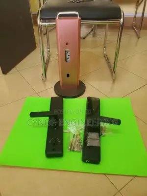 Biometric Excellence Enhancing Airbnb Security Door Locks