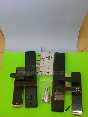 Biometric Locks for Seamless Airbnb Access