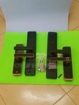 Unlock With Ease Biometric Wifi Doors Fir Airbnb With Topsec