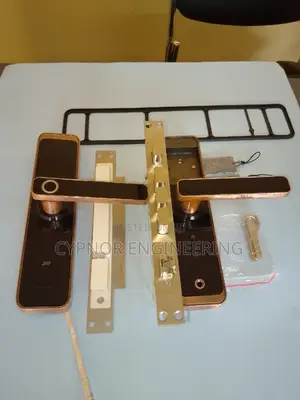 Hospitality Safety Biometric Door Locks for Airbnbs Security
