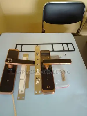 Biometric Doorlocks for Airbnbs Rentals Smart Access