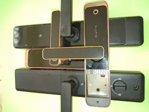 Next_gen Access Biometric Wifi Door With RFID Card