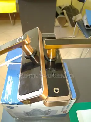 Biometric Brilliance Wifi Door With RFID Integration