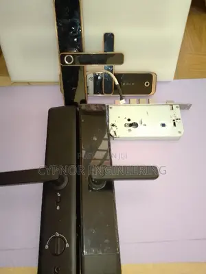 Wifi Door Access Revolution: Biometric Lock With RFID Card