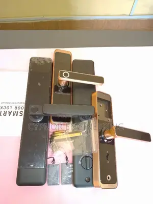 Biometric Mastery Wifi Door Lock With RFID Integration