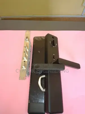 RFID Integration Mastery Biometric Locks for Home Security