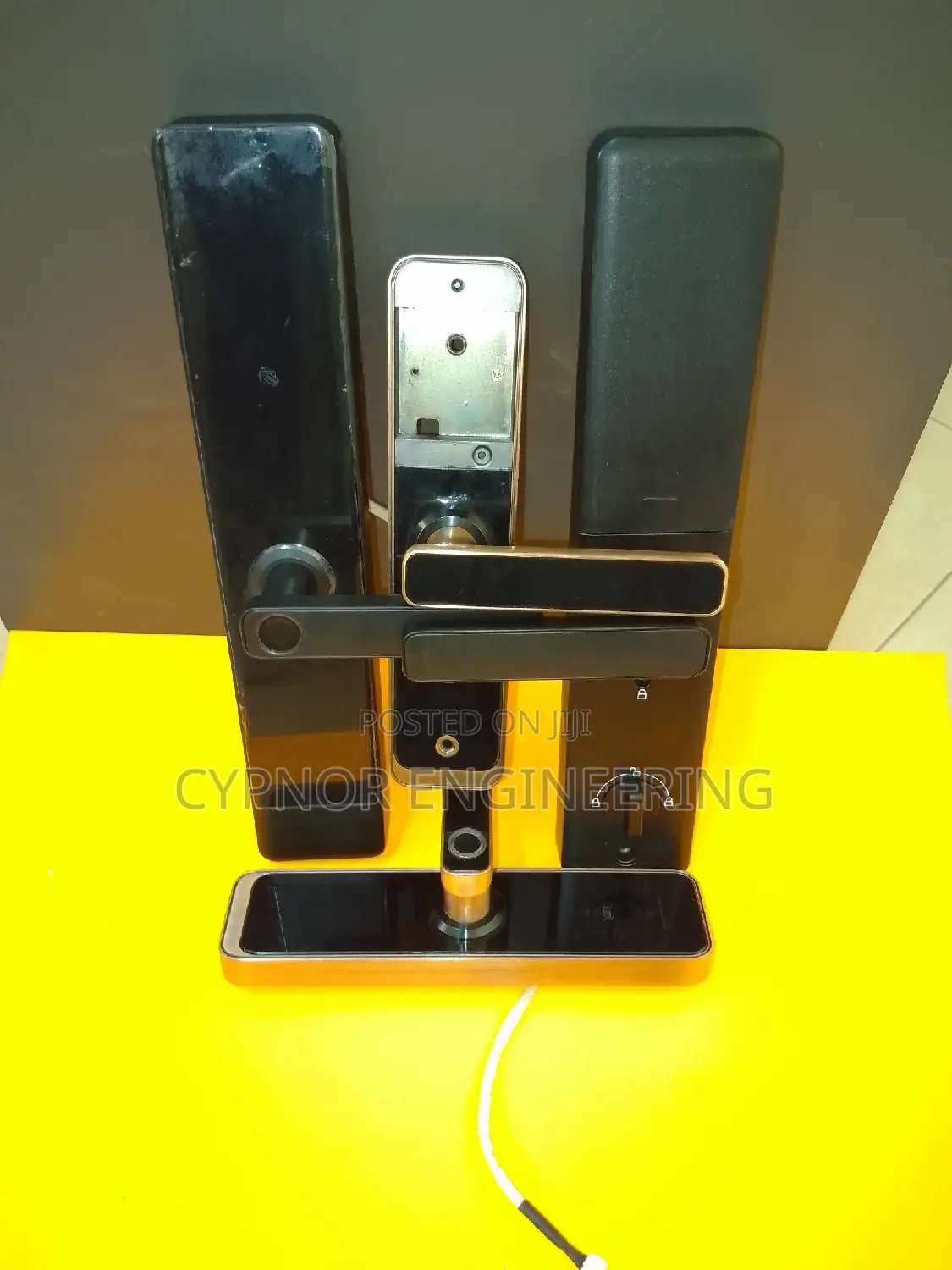 Enhanced Biometric Automatic Access Control Door Locks