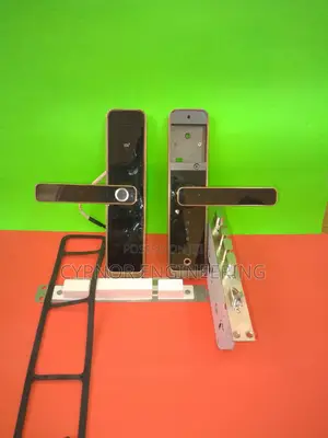 RFID Biometric Bliss Keyless Entry Smart Biometric Locks