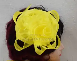 Exquisite Women's Fascinators