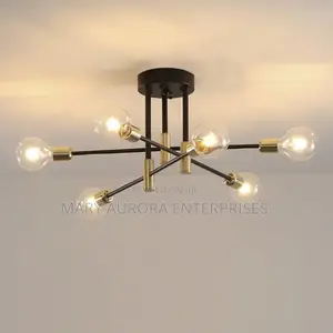Drop Sputnik Chandeliers/Bulb Chandelier