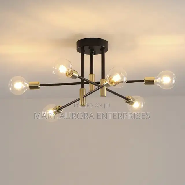 Drop Sputnik Chandeliers/Bulb Chandelier