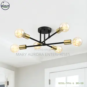 Drop Sputnik Chandeliers/Bulb Chandelier