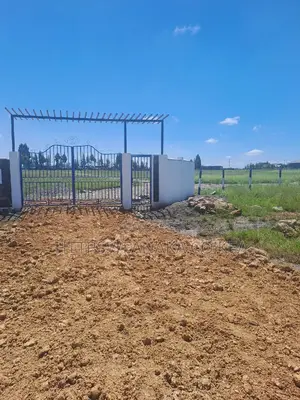 Genuine Katani Plots
