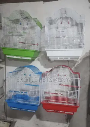 Bird Cages