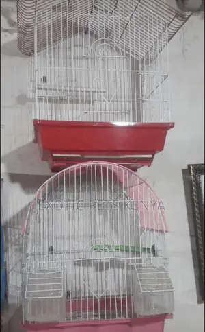 Bird Cages